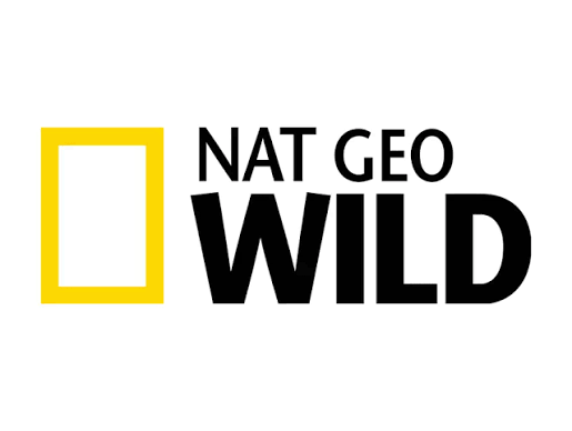 NGW